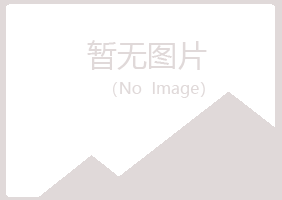 阳山县南莲建筑有限公司